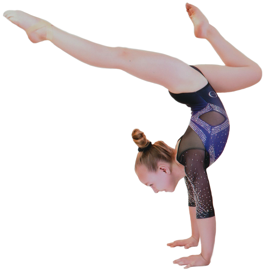 OHSAA Gymnastics